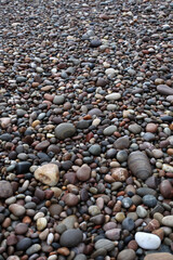 Shore - Findhorn - Moray - Scotland - UK