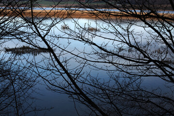Evening light on Tay river bank - River Tay - Perthshire - Scotland - UK
