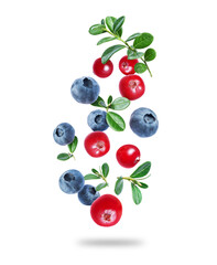 Group of blueberries and cranberries with leaves close up in the air on a white background