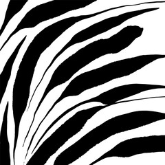 Abstract botanical background, black strokes on white background, square vector backdrop - 779962936
