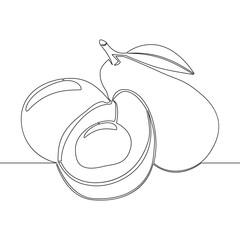Continuous one single line drawing of avocado icon vector illustration concept