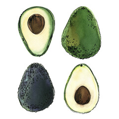 Avocado Watercolor ink sketch food Herbs and vegetables.  - 779964531