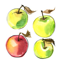 Apples Fruit sketch of food in watercolor and ink. Sketch of colored products on a white background. - 779964706