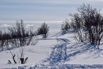 Winter landscape in Pallas Yllastunturi National Park, Lapland