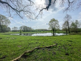 wet meadows in the nature reserve
