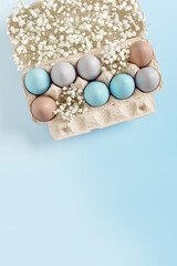 Pastel Easter Eggs with white Flowers in Carton box on Blue Background, top view chicken egg...