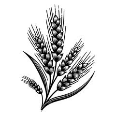 Wheat Ears Engraving line art PNG illustration