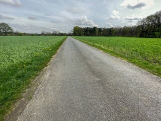 Fototapeta na wymiar empty path through fields and meadows