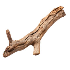 A piece of dry branch. Isolated on transparent background.