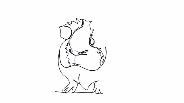Guinea pig. One line drawing animation. Video clip with alpha channel.