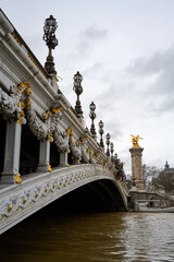 Fototapeta na wymiar pont alexandre iii bridge in Paris