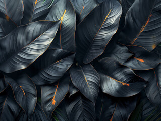 Shadowed Foliage: Abstract Black Leaves in Mystery
