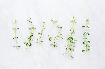 Thyme twigs on white marble background, top view - 779984544