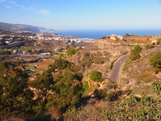 Fototapeta na wymiar Icod de los Vinos (Tenerife, Canary Islands, Spain)