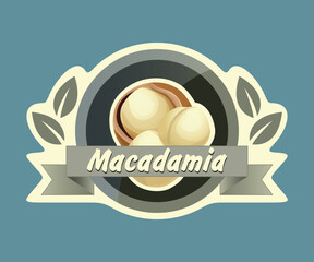 Macadamia nut vector sticker isolated on white background