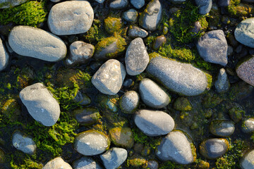 Top-view of some pebble stones on the shore - 779987326