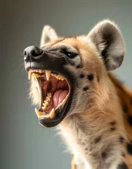 Schilderijen op glas a hyena with its mouth open © lucas
