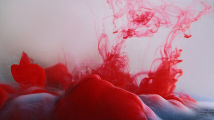 Ink cloud flow. Smoke paint. Bright red blood crimson color water fluid haze wave motion on...