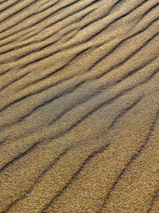 Fototapeta na wymiar Background of lines in the sand