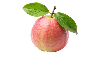 Red guava fruit with green leaves isolated on transparent background.
