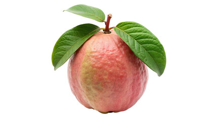 Red guava fruit with green leaves isolated on transparent background.