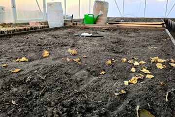 Obraz premium Springtime Preparations in the Greenhouse