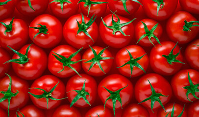 Red tomatoes on red background, Group of fresh tomatoes top view - 780011147
