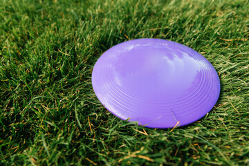 leisure games, toys and sport concept - close up of flying disc on grass