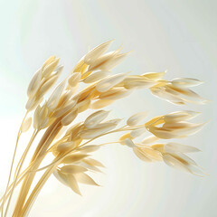 Sprig of oats on a white background vertically
