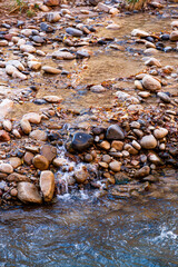 The Virgin River by the Narrows with a Tiny Waterfall