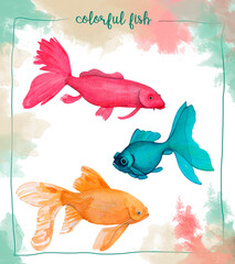 peces de colores