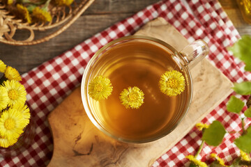A cup of herbal tea with fresh coltsfoot flowers harvested in spring