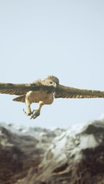 extreme slow motion shot of eagle
