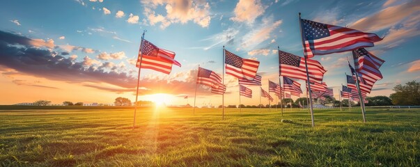 Multiple American flags on green grass at sunrise. Patriotic concept with natural landscape background