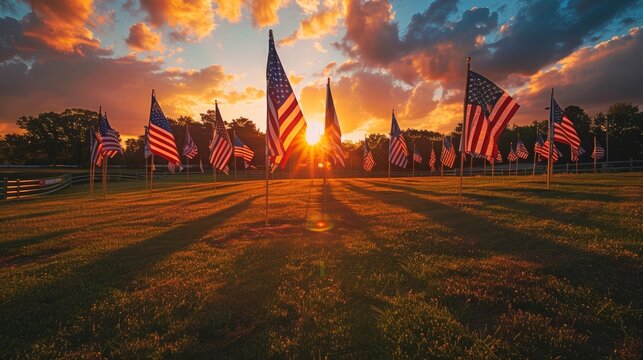 American flags in a field at sunset. Patriotic symbol display.