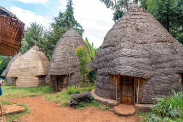 Ethiopia, typical elephant-shaped houses in a Dorze village.

