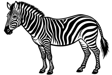 zebra silhouette vector art illustration
