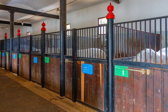 Stables at Slovenian village Lipica where famous Lipizzaner horses are bred