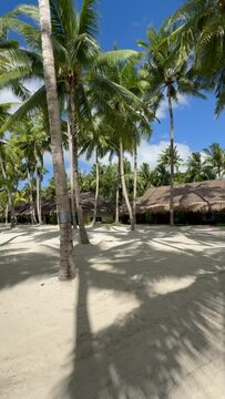 Amazing paradise view to the White beach with palms in Bohol Panglao island, Philippines