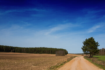 Rural landscape, field road and arable fields in spring - 780040199