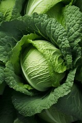 Head of cabbage close up, vertical creative banner as background. Vertical conceptual creative banner for social network, media