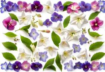 Fototapeten Group of fresh wet jasmine lily hollyhocks pansy periwinkle and lavender flowers © Spring of Sheba