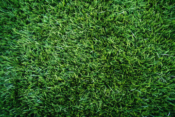 Lush Green Grass Texture