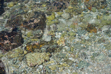 coral reef in the sea - Secret beach, Sri Lanka