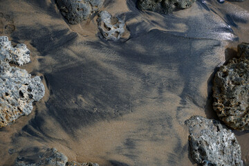 Natural beach sand texture with corrals - Natural beach background