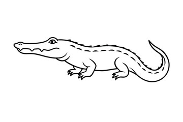 Crocodile logo, line art, vector illustration.