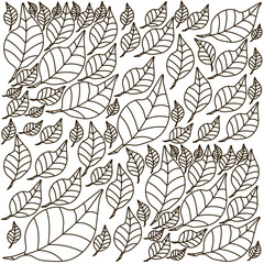 Leaf Pattern5
