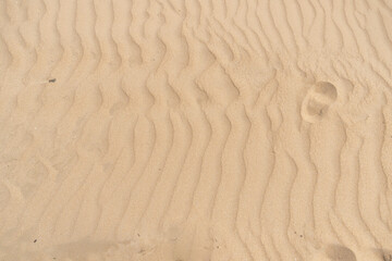 Sand texture - Sable fin plage