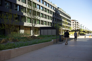 people walking on the street