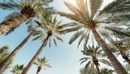 Fototapeta na wymiar Retro Retreat: Skyward View with Palm Trees and Summer Vibes